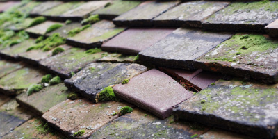 Castle Hedingham roof repair costs